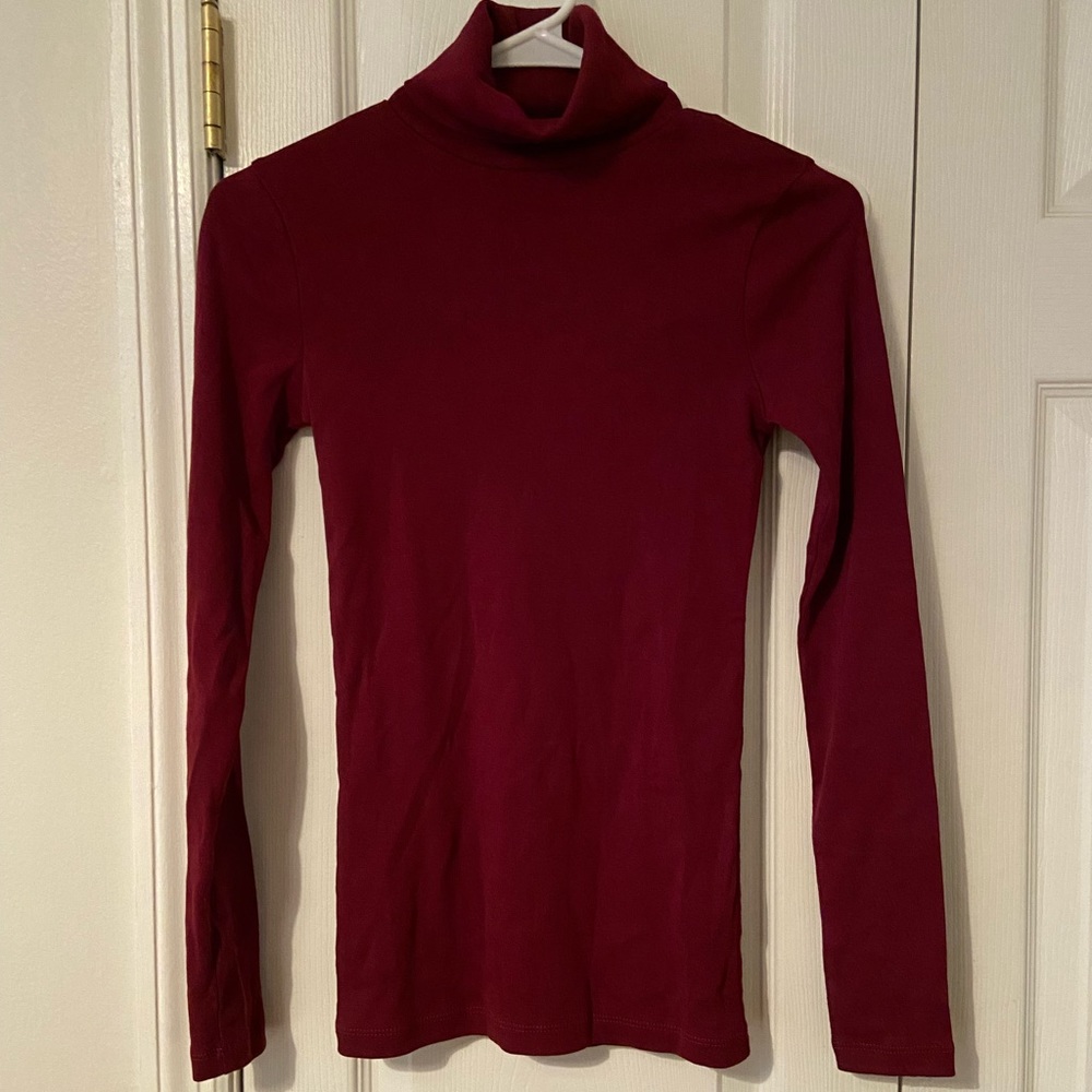 J.Crew Perfect Fit Turtleneck